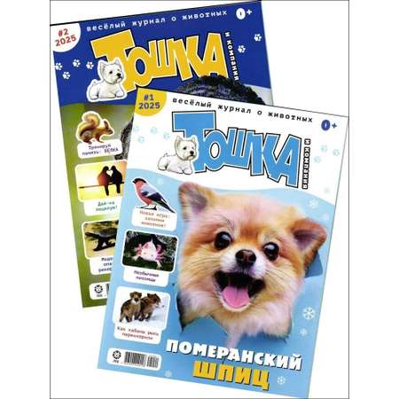 Набор журналов ИД Лев Детские журналы