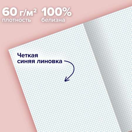 Общая тетрадь Brauberg клетка 96 лист. 3 шт.