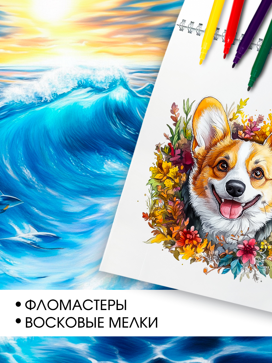 Альбом AXLER А4 40 лист. 2 шт. - фото 5