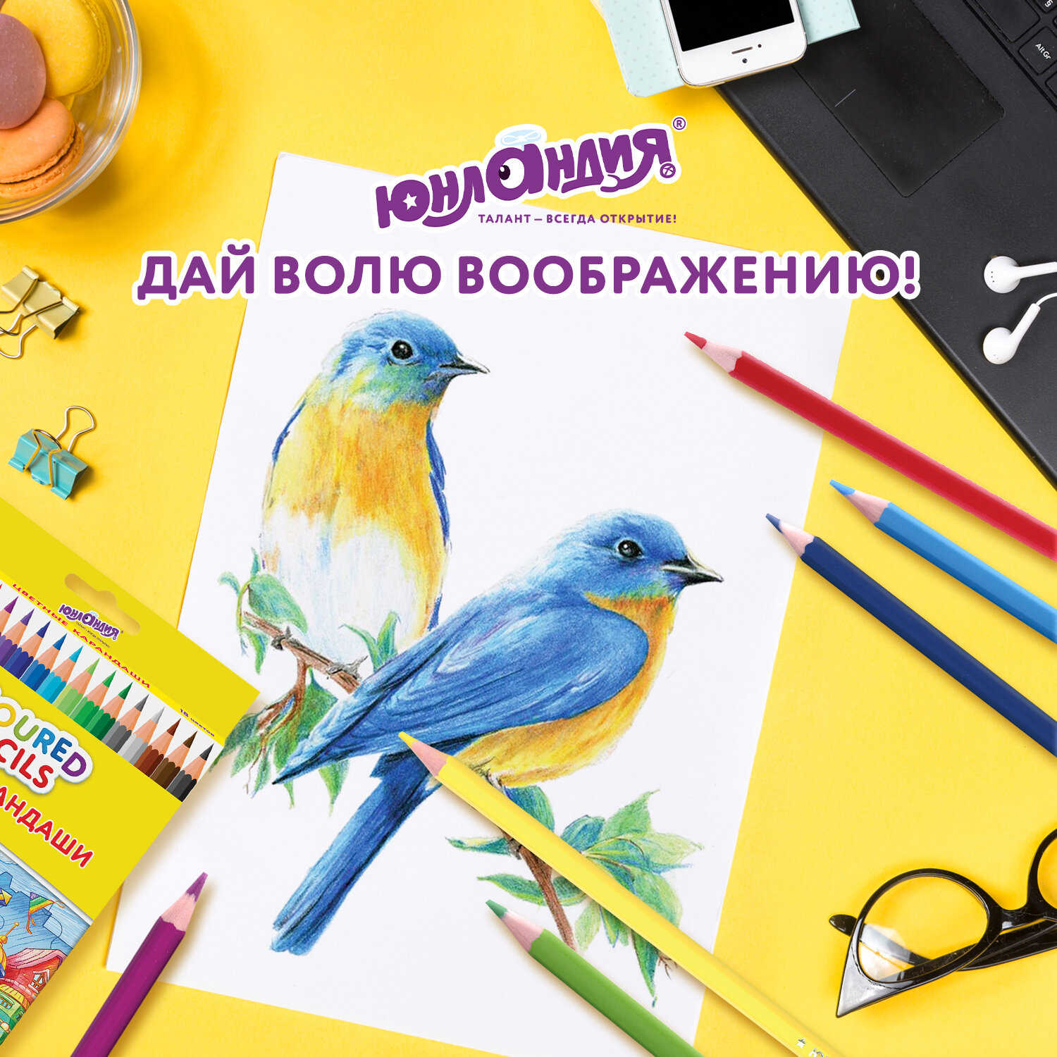Карандаши цветные Юнландия 18 шт. - фото 7