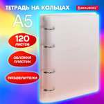 Тетрадь со сменным блоком Brauberg клетка 120 лист.