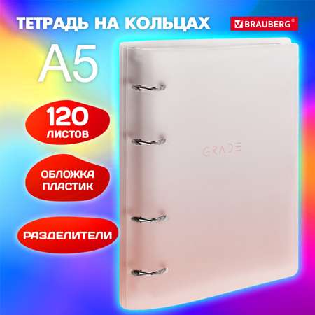 Тетрадь со сменным блоком Brauberg клетка 120 лист.
