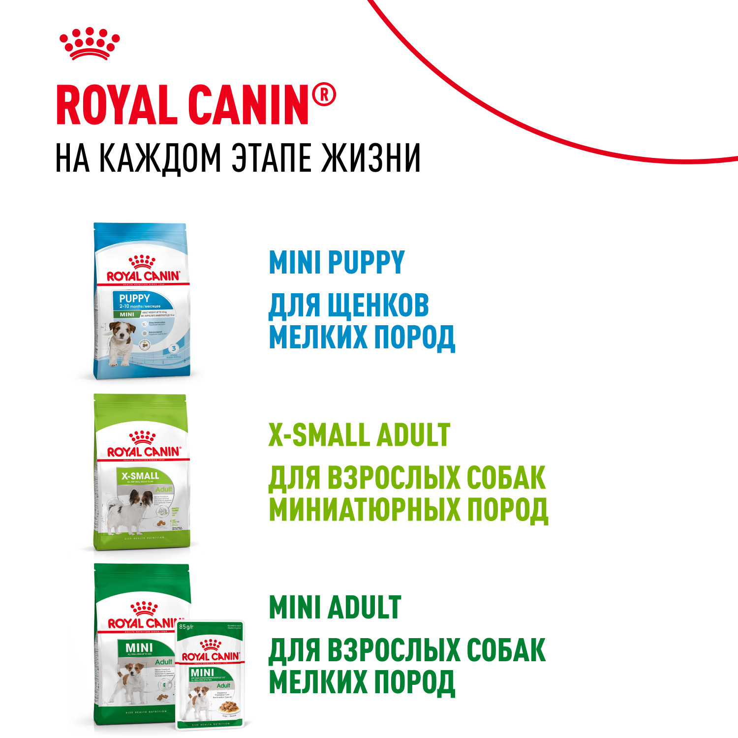 Корм для щенков ROYAL CANIN Junior миниатюрных пород 1.5кг - фото 10