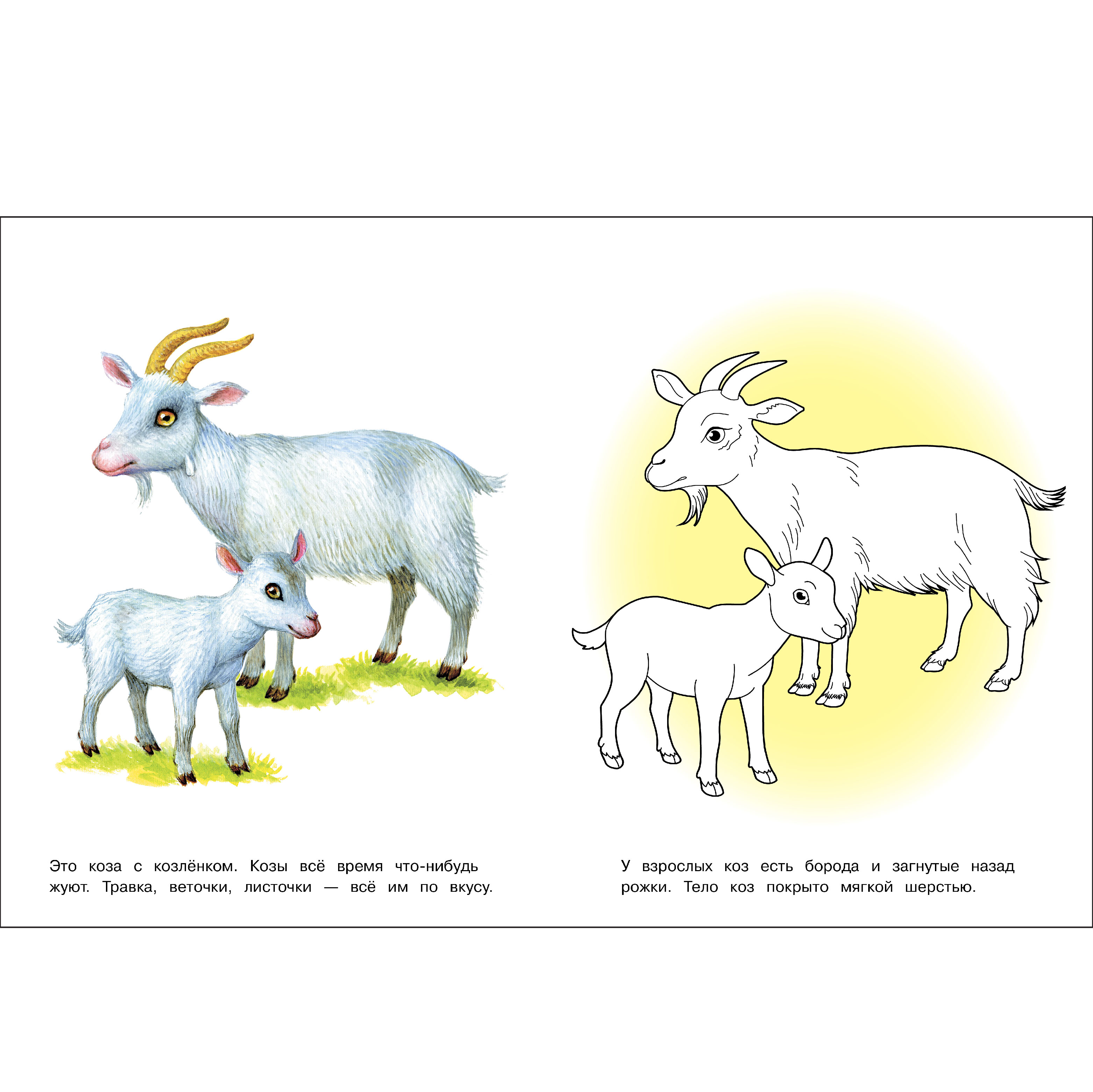 Комплект книг СТРЕКОЗА Раскраски - фото 5