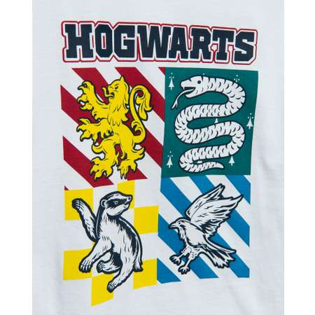 Футболка Harry Potter