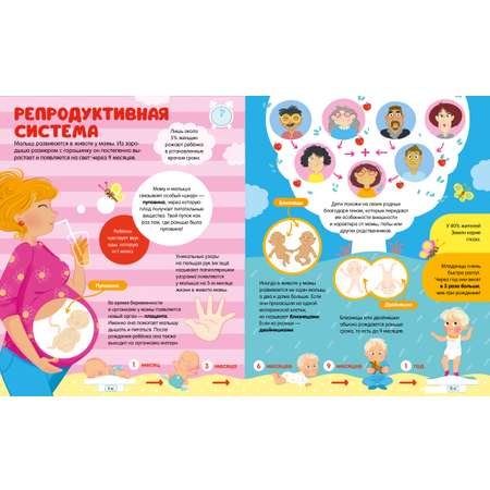 Книга Clever Энциклопедии. 100 удивительных фактов о теле человека