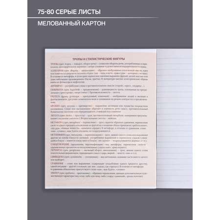 Общая тетрадь Calligrata линейка 48 лист. 1 шт.