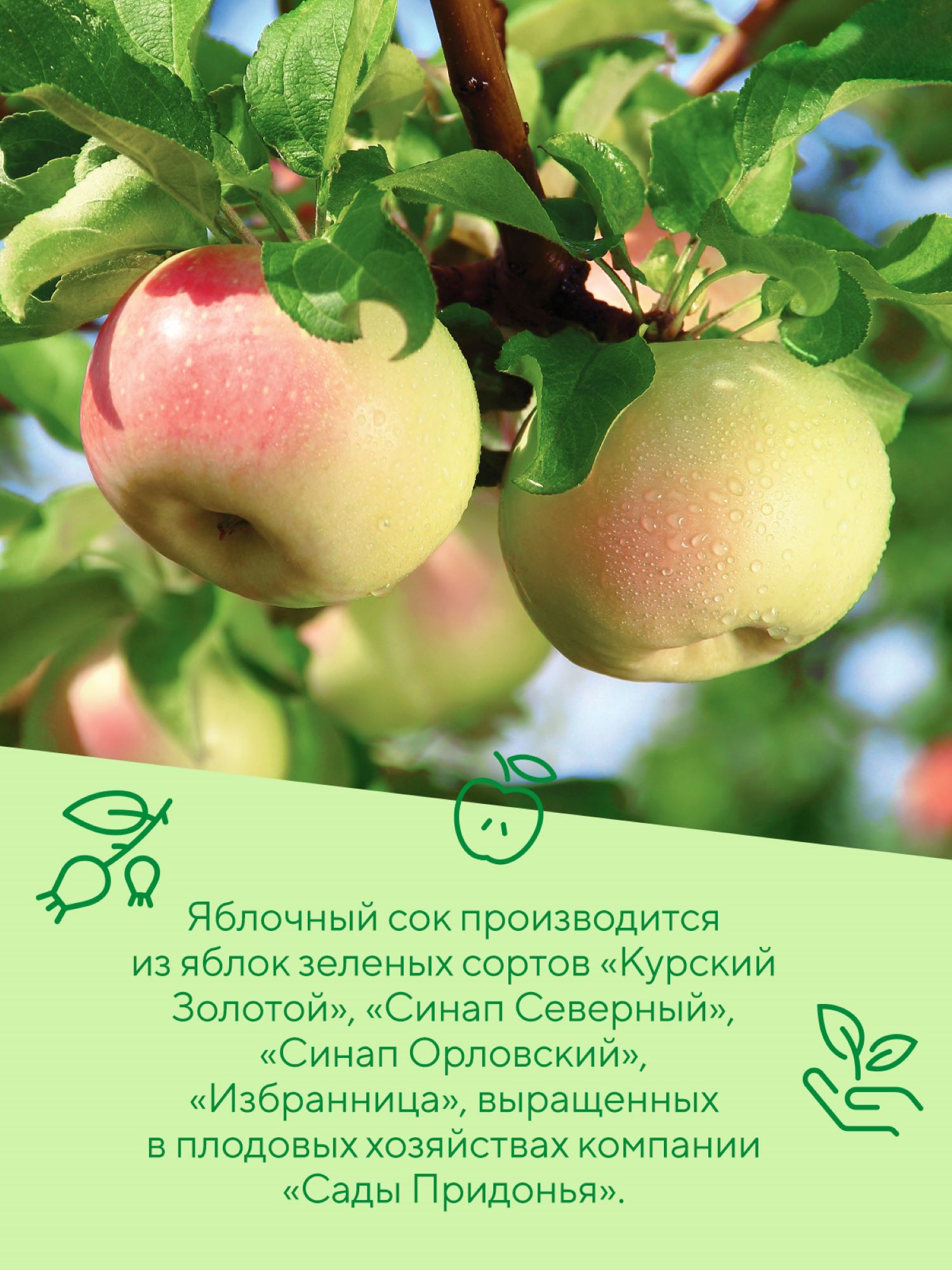 Сок Сады Придонья Яблоко-Шиповник с 6 мес 0.2 л - фото 5