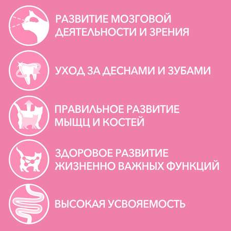 Корм для котят Purina One курица-злаки 200г