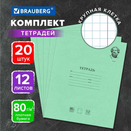 Тетрадь Brauberg крупная клетка 12 лист. 20 шт.