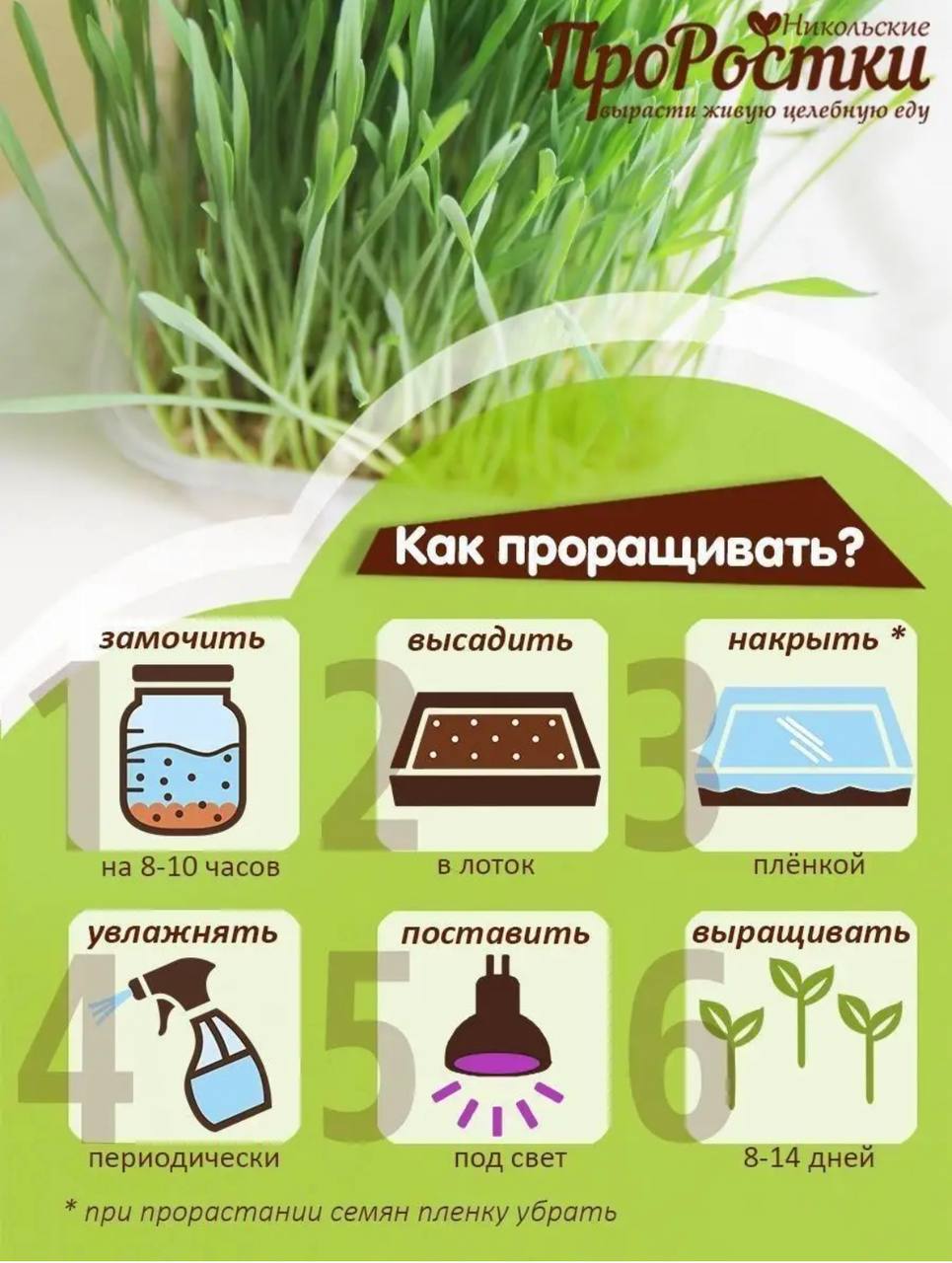 Семена для микрозелени Никольские ПроРостки пшеница - фото 7