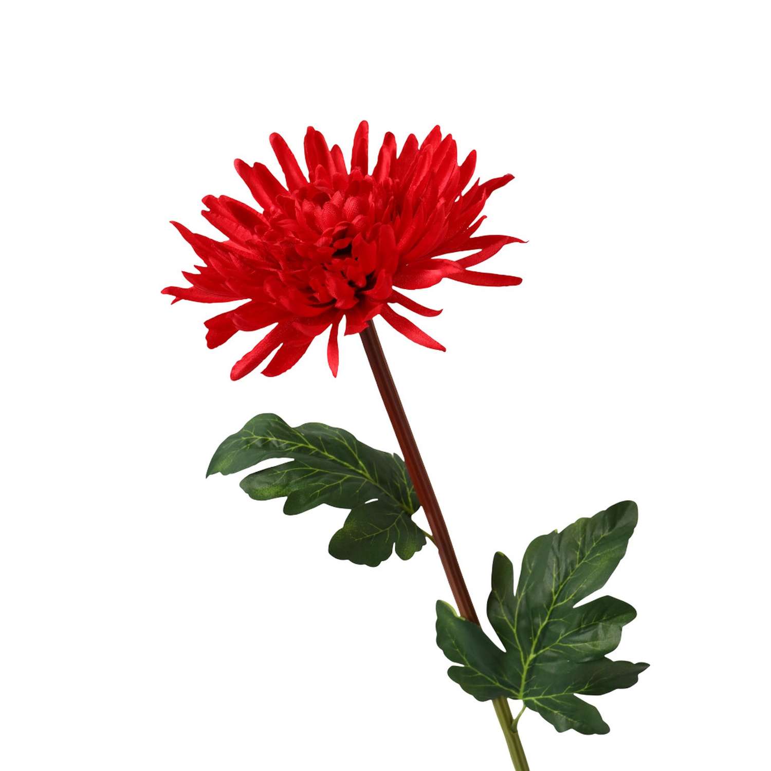 Цветы искусственные Poetry in Flowers Астра пионовидная бордовая - фото 2
