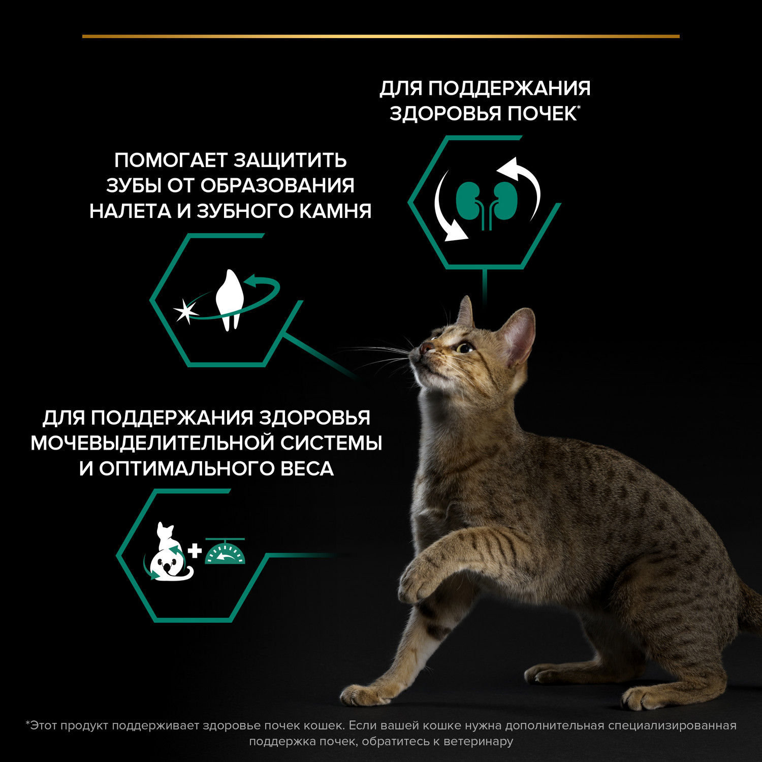 Корм сухой для кошек PRO PLAN RENAL PLUS 3 кг с лососем для стерилизованных - фото 4