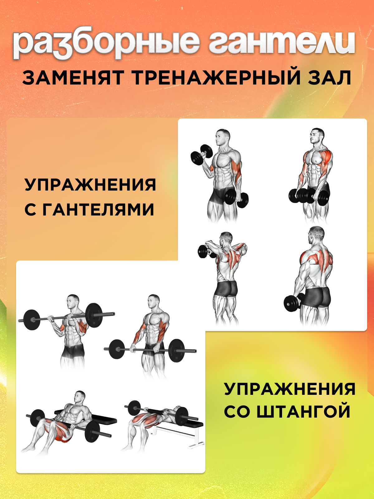 Набор блинов с грифом БлинДаГриф Гантель 4кг 2шт - фото 2