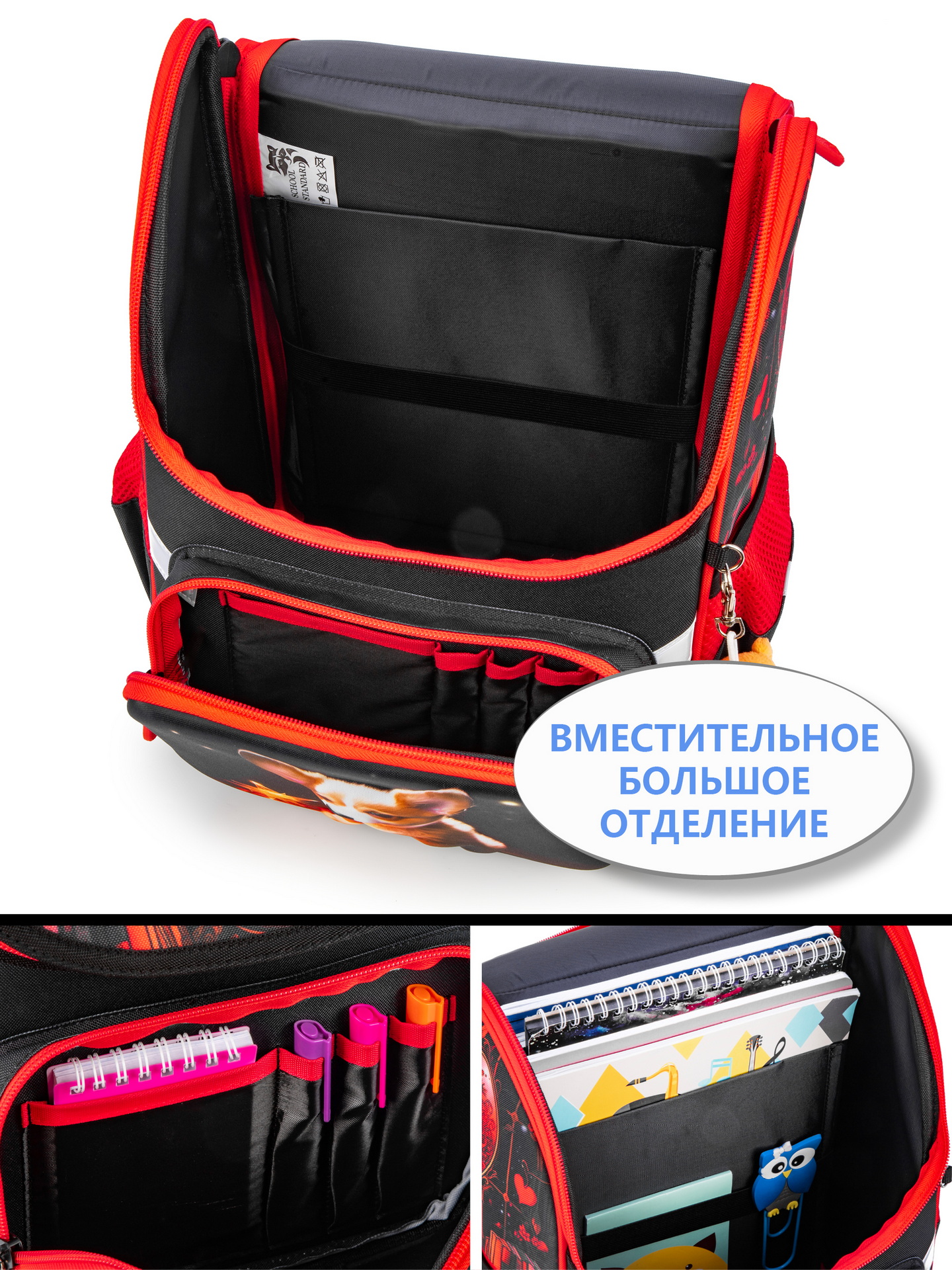 Ранец School Standard анатомическая спинка + брелок - фото 8