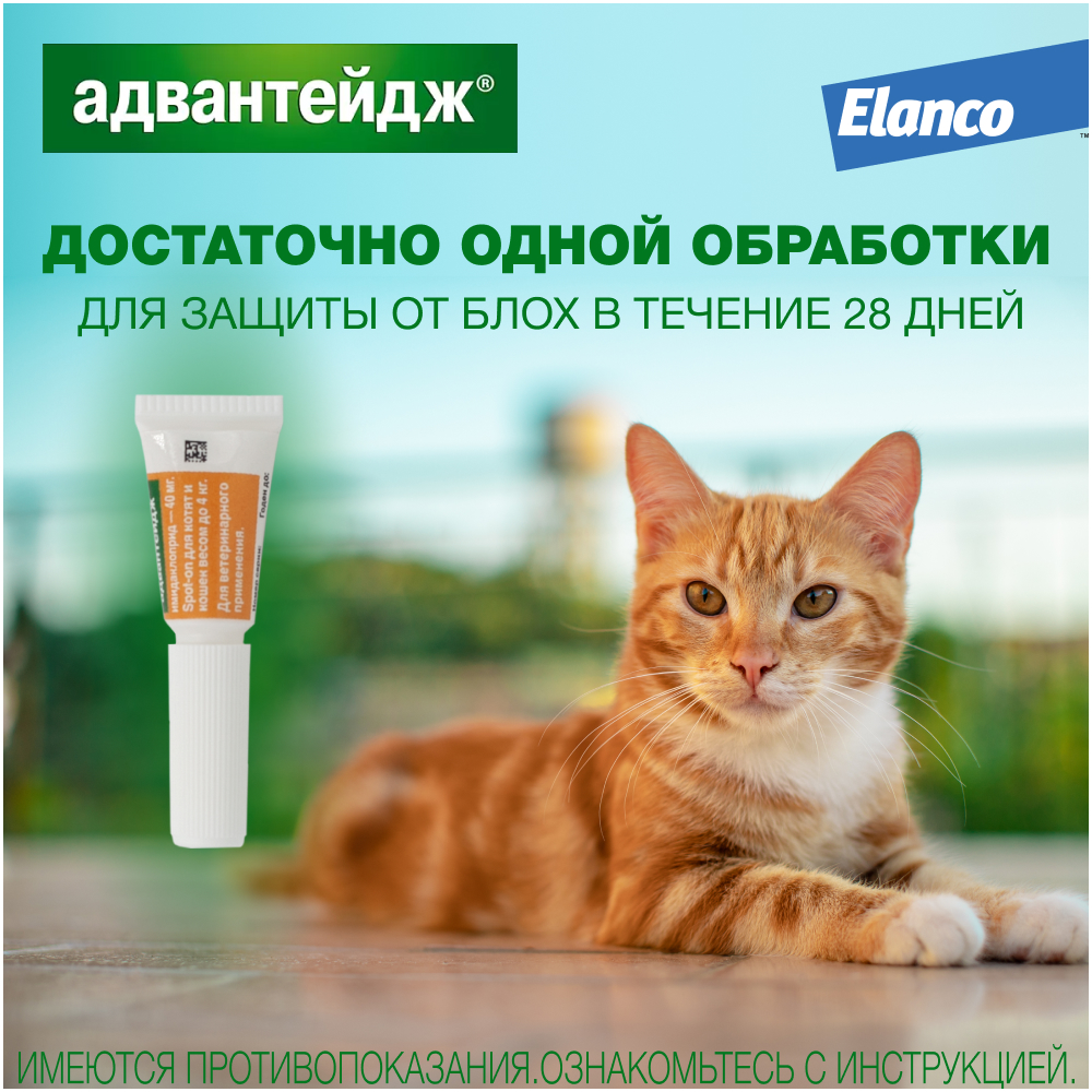 Капли для котят и кошек Elanco Адвантейдж против блох 1пипетка - фото 5
