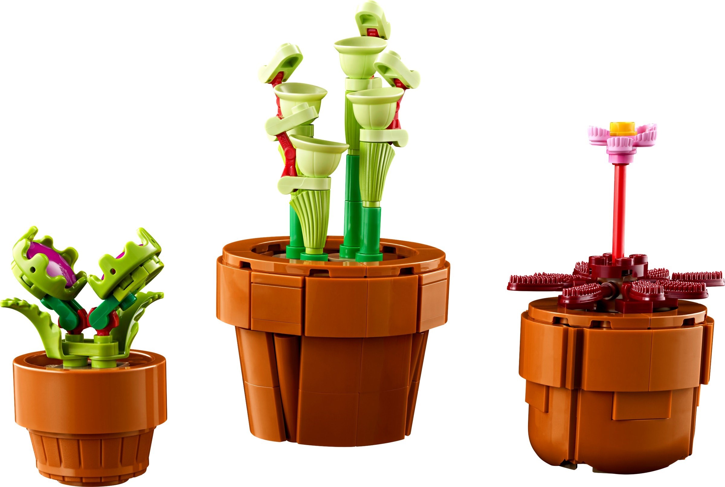 Конструктор LEGO Botanicals 10329 758 дет. - фото 4