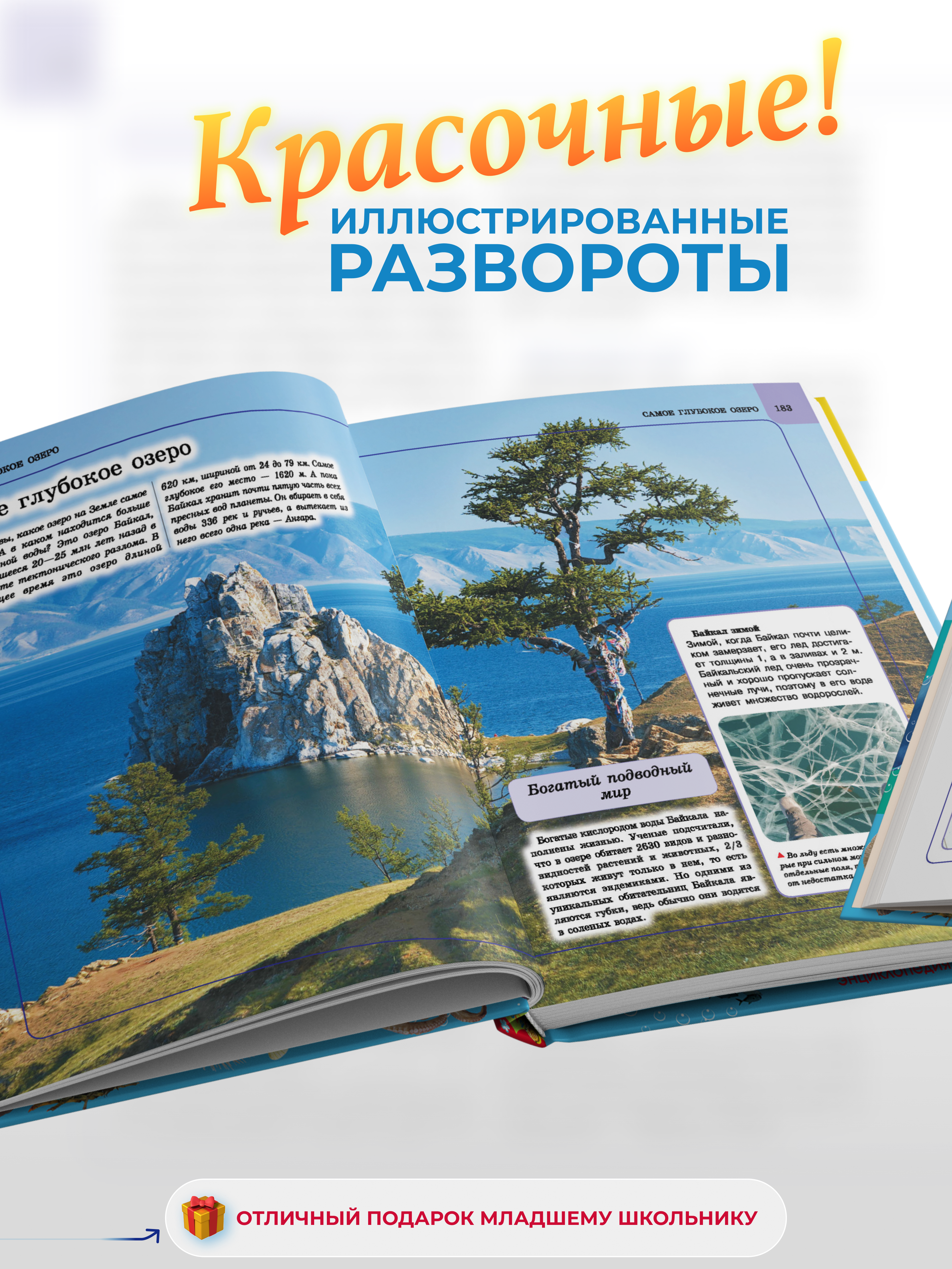 Книга Харвест Книга большая Энциклопедия для детей школьников Подводный мир для чтения с иллюстрациями - фото 3