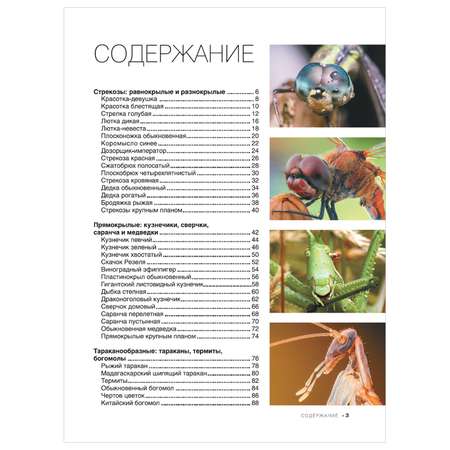 Энциклопедия Большая книга о насекомых 1001фотография