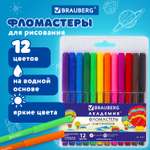 Фломастеры Brauberg 1 цв.