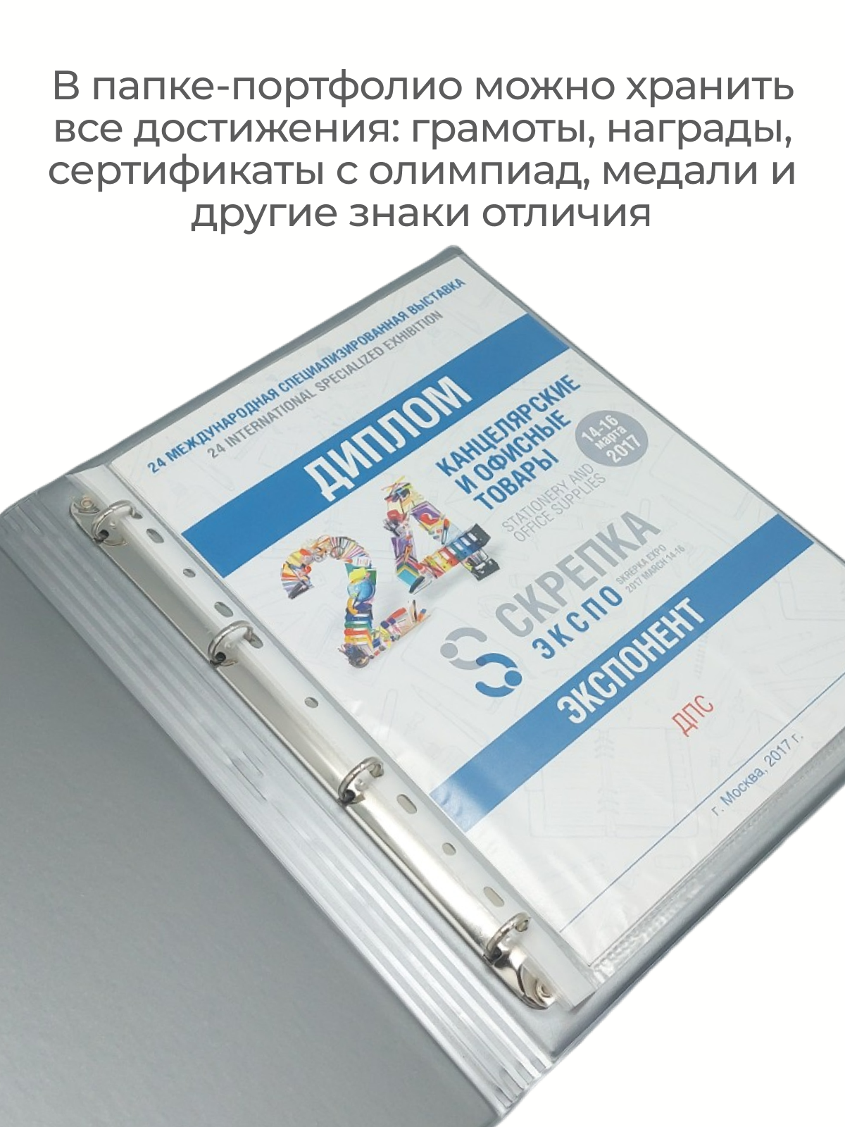 Папка dpskanc Портфолио на кольцах синяя - фото 4