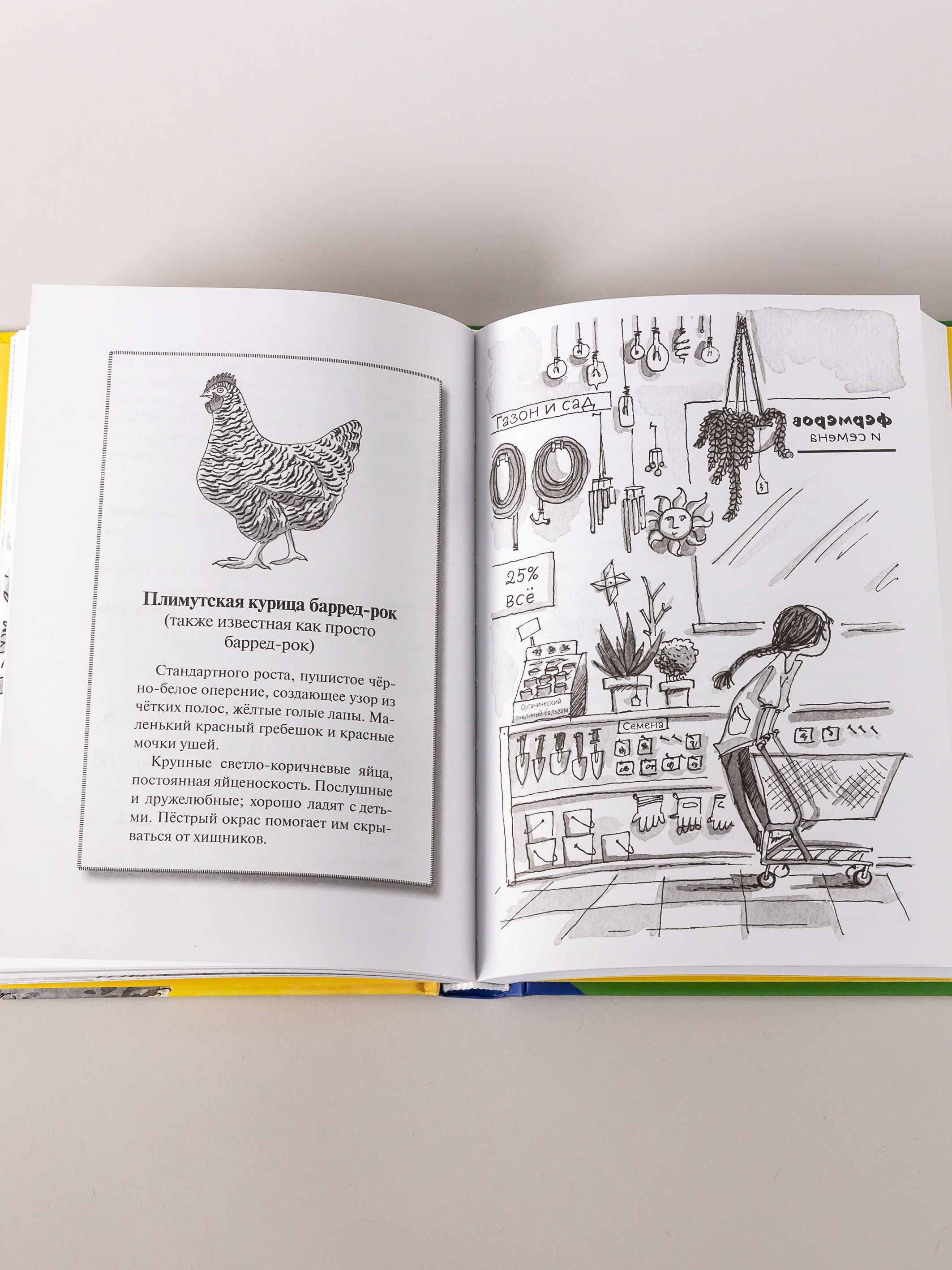 Книга Альпина. Дети Необыкновенные куры для лучшего фермера-птицевода - фото 6