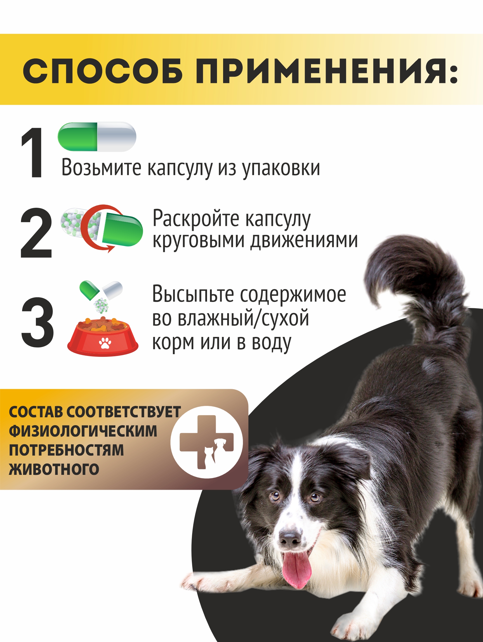 Витаминный комплекс ALTAI ANIMAL для собак Зоркий взгляд для глаз - фото 4
