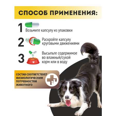 Витаминный комплекс ALTAI ANIMAL для собак Зоркий взгляд для глаз