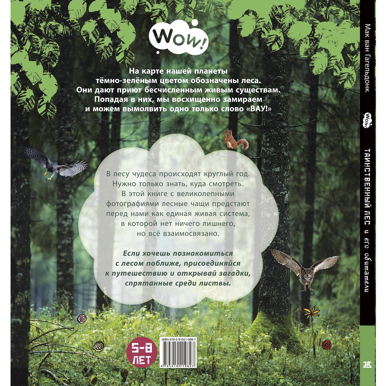 Книга ЭНАС-книга Таинственный лес - фото 8