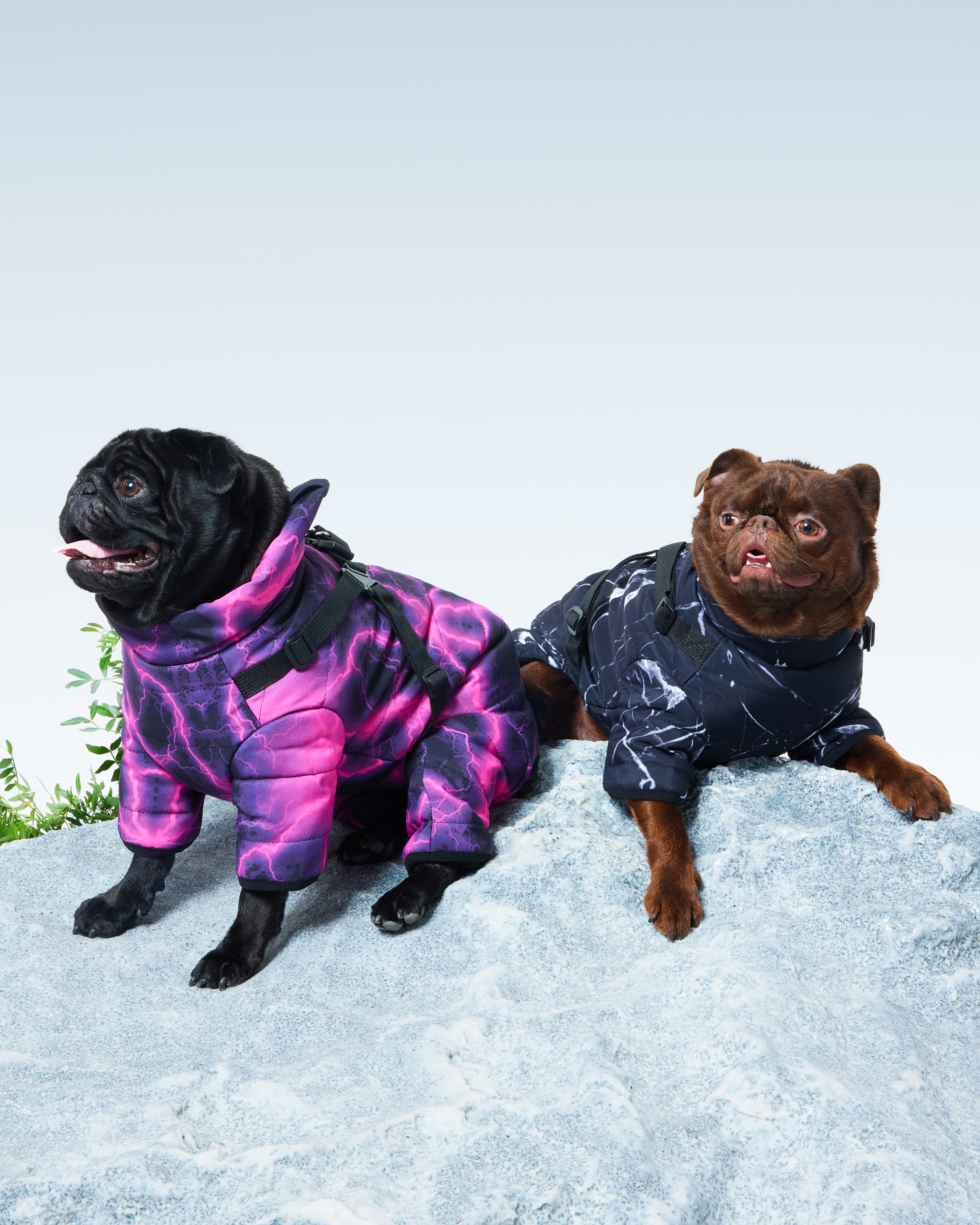 Комбинезон для собак и кошек Зоозавр - фото 13