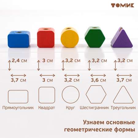 Игрушка Томик сортер Логика и счет