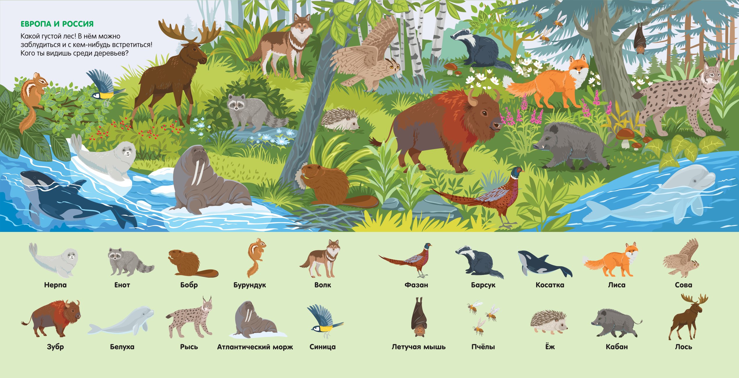 Книга АСТ Найди 101 животное В зоопарке - фото 3