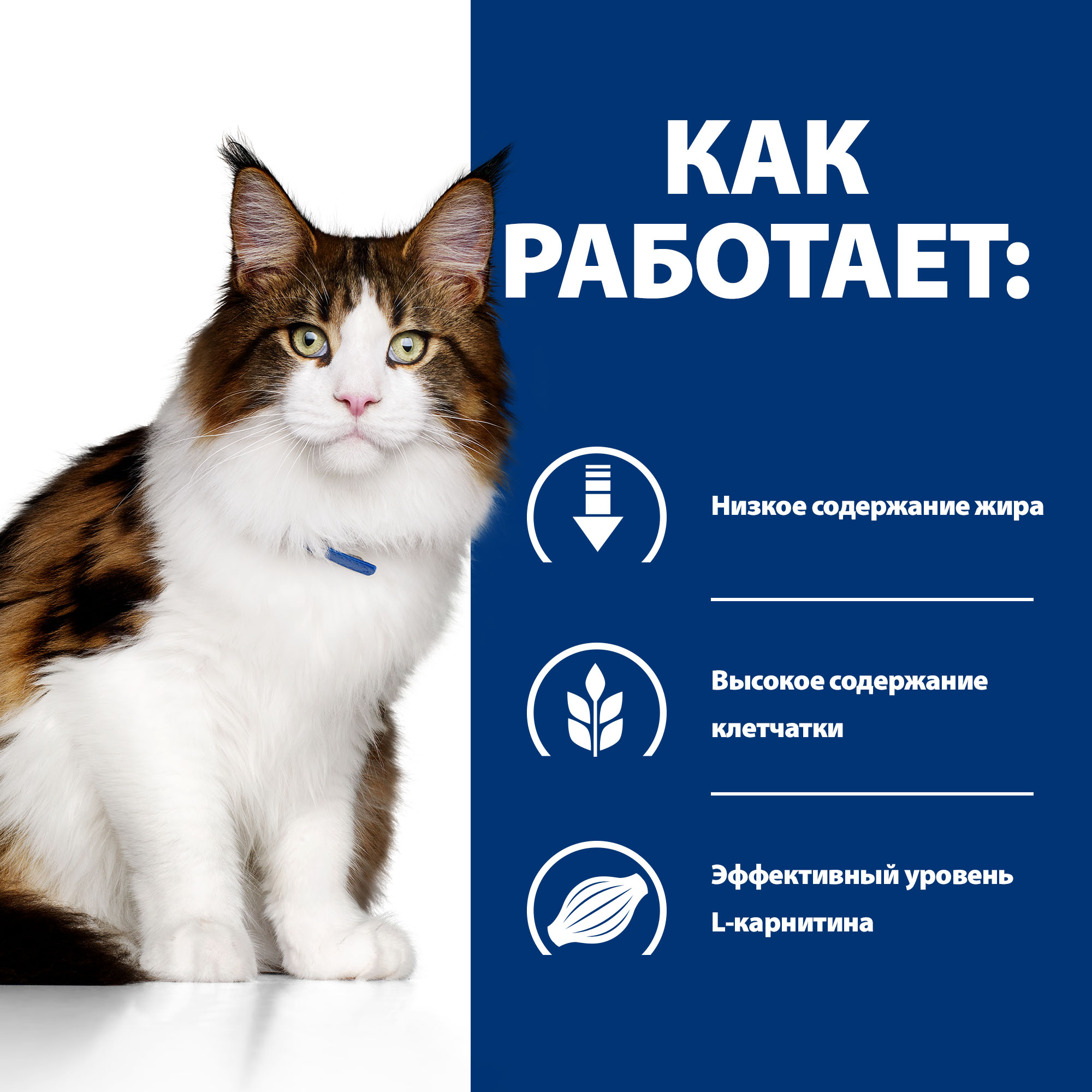 Корм для кошек Hills 85г Prescription Diet w/d диетический при поддержании веса и сахарном диабете с курицей - фото 3