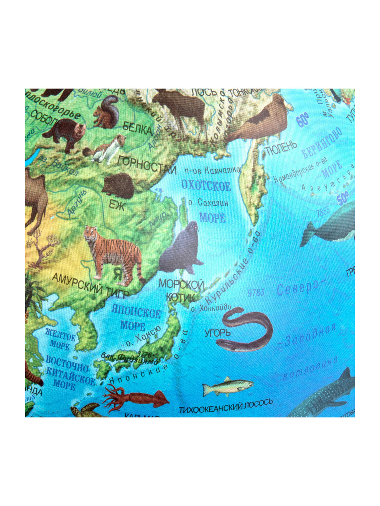 Глобус Globen зоогеографический с подсветкой диаметр 25 см - фото 20