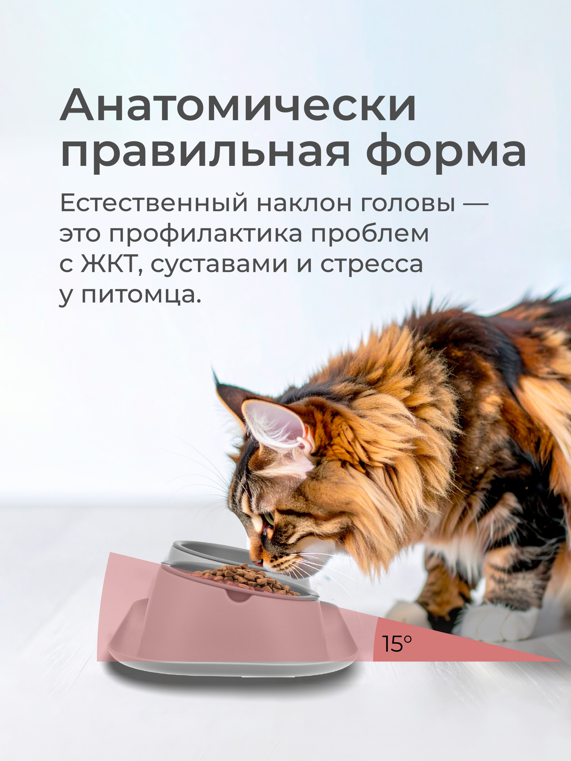 Двойная миска для животных ROXY PETS миска для медленного поедания - фото 3