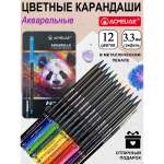Карандаши акварельные ACMELIAE 13 шт.