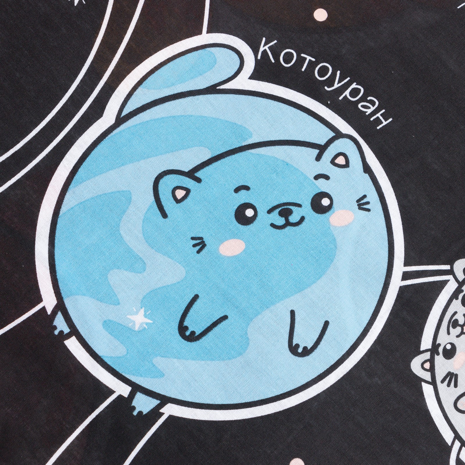 Комплект постельного белья Этель Cats and space полутораспальный 3 предм. - фото 5