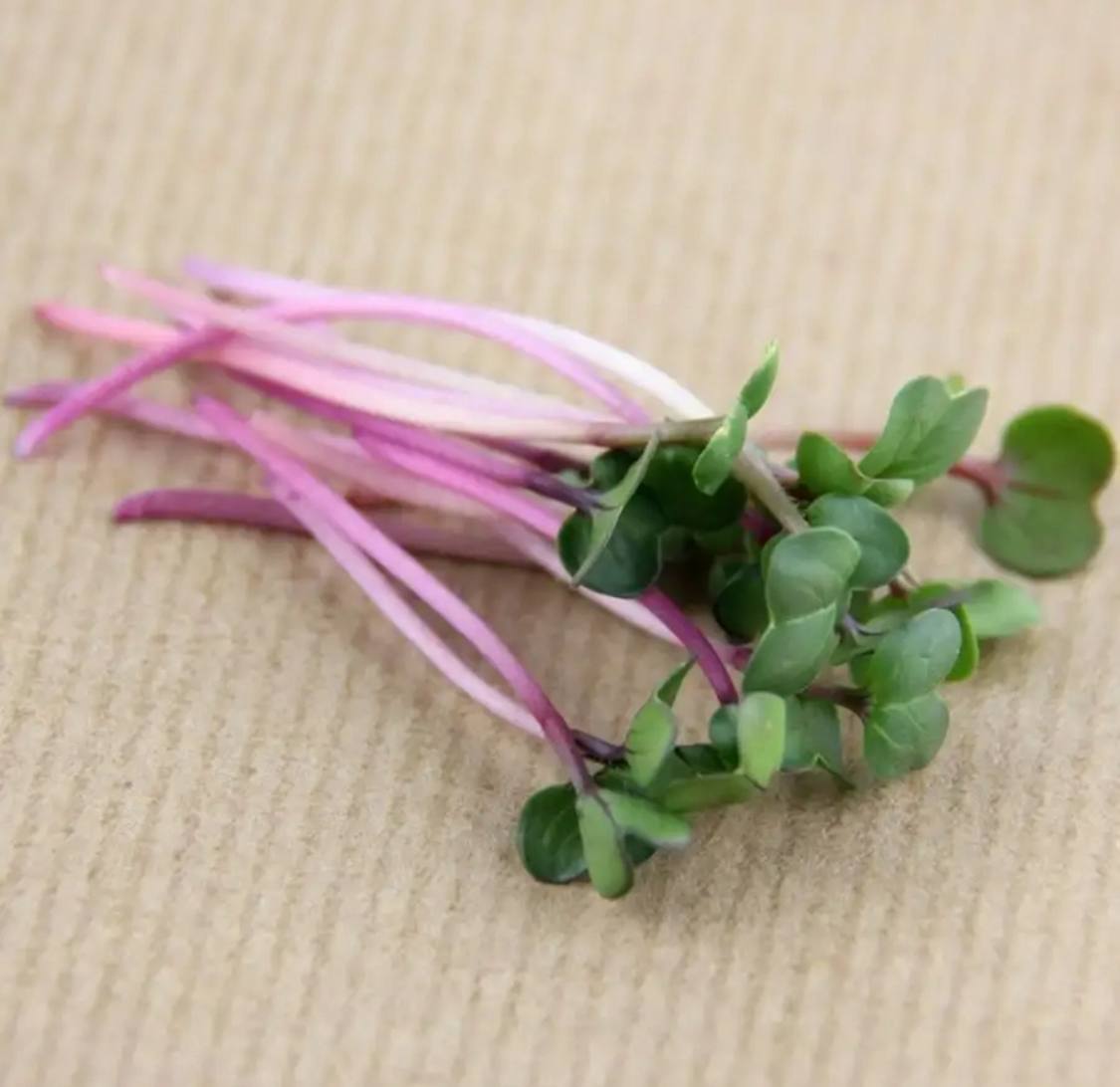 Семена для микрозелени MegaMedia редис - фото 3