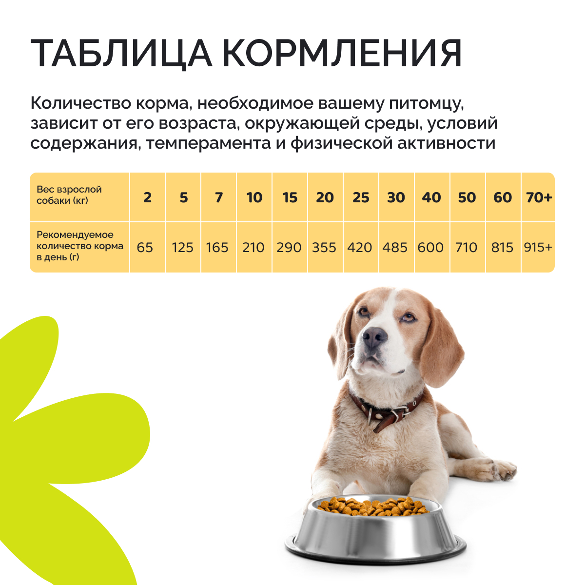 Корм сухой DOGSY с курицей рисом и морковью 18 кг - фото 11