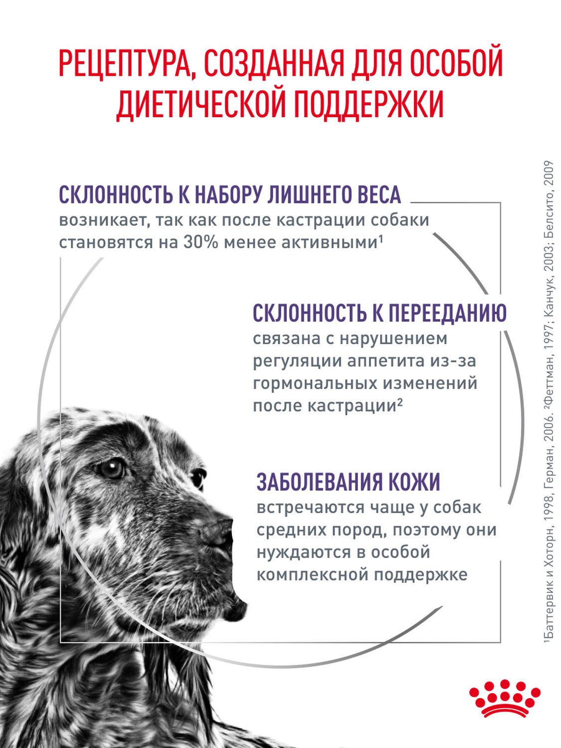 Корм для собак влажный ROYAL CANIN Neutered Adult кусочки в соусе 100г - фото 2