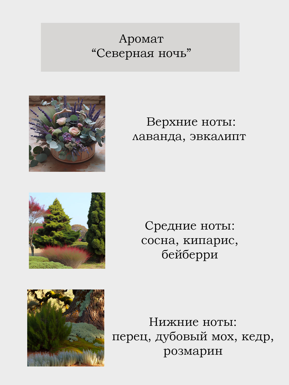 Диффузор для дома с палочками Plates and More Северная ночь 50 мл - фото 2