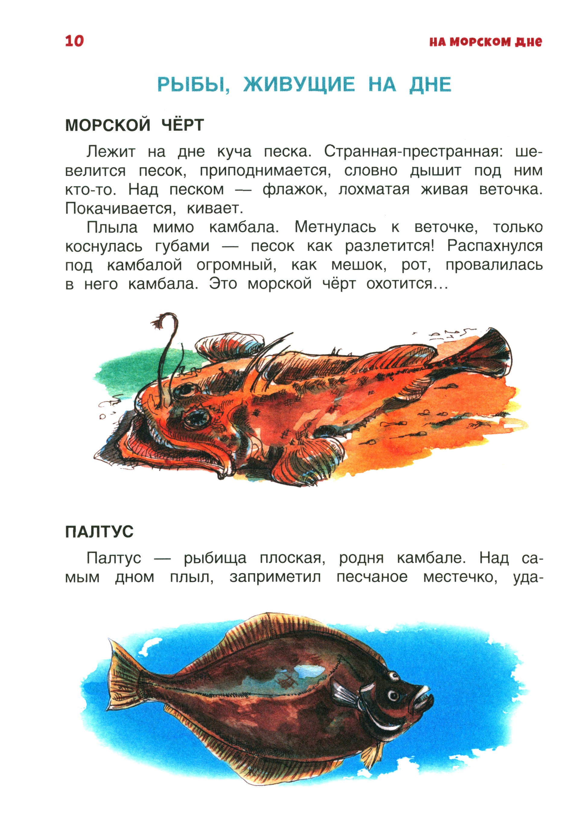 Книга Качели В мире дельфина и осьминога - фото 6