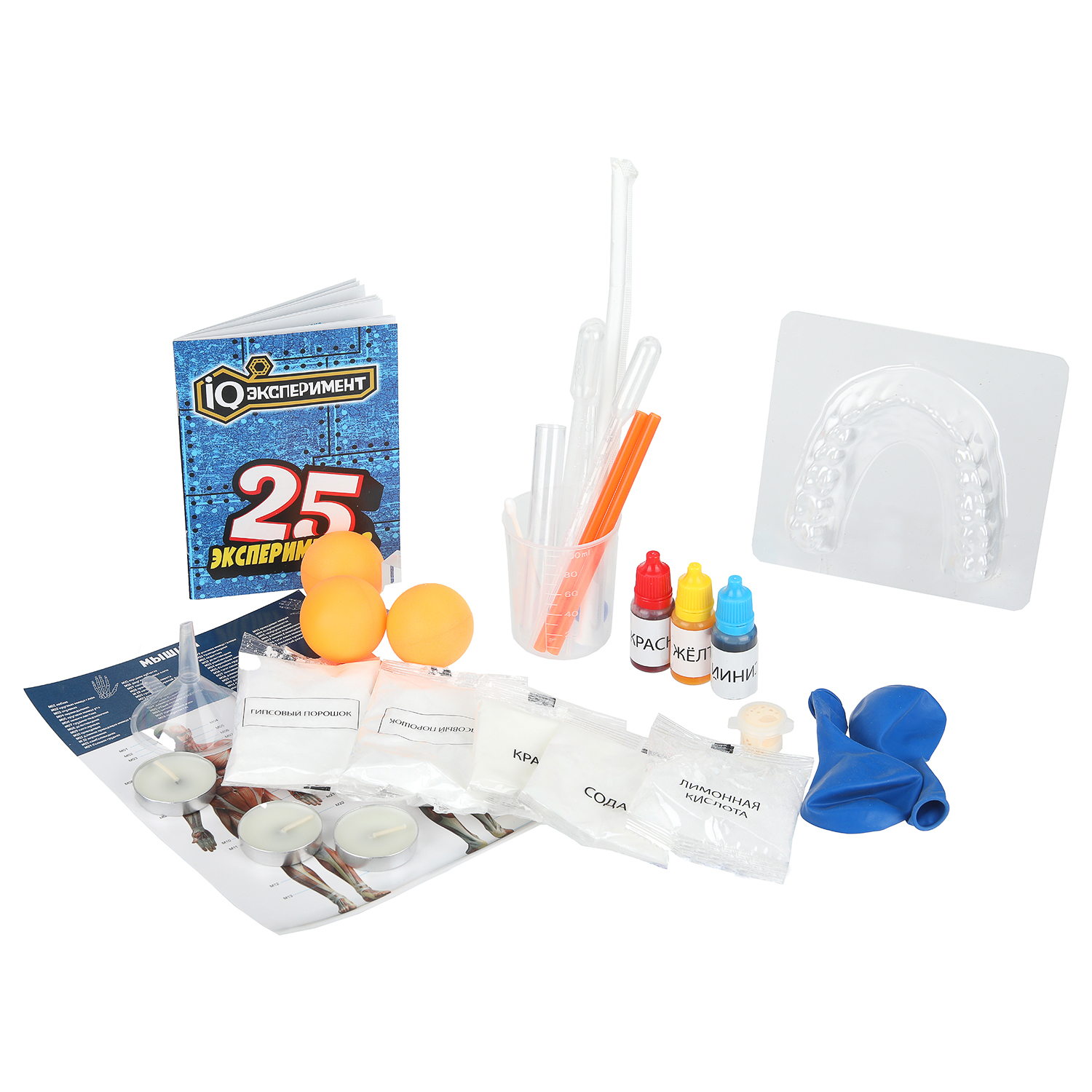 Набор для опытов Играем вместе Изучение человека - фото 4