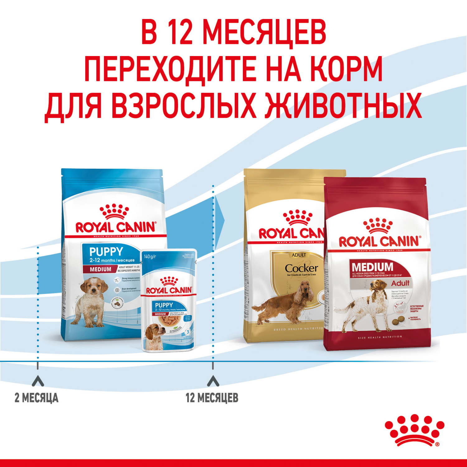 Корм для щенков ROYAL CANIN Medium Puppy средних пород 14кг - фото 9