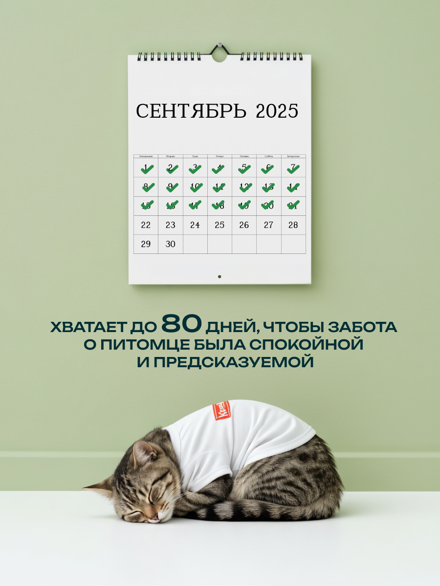 Наполнитель KiesKis Тофу Ориджинал 13.2 л комкующийся - фото 6