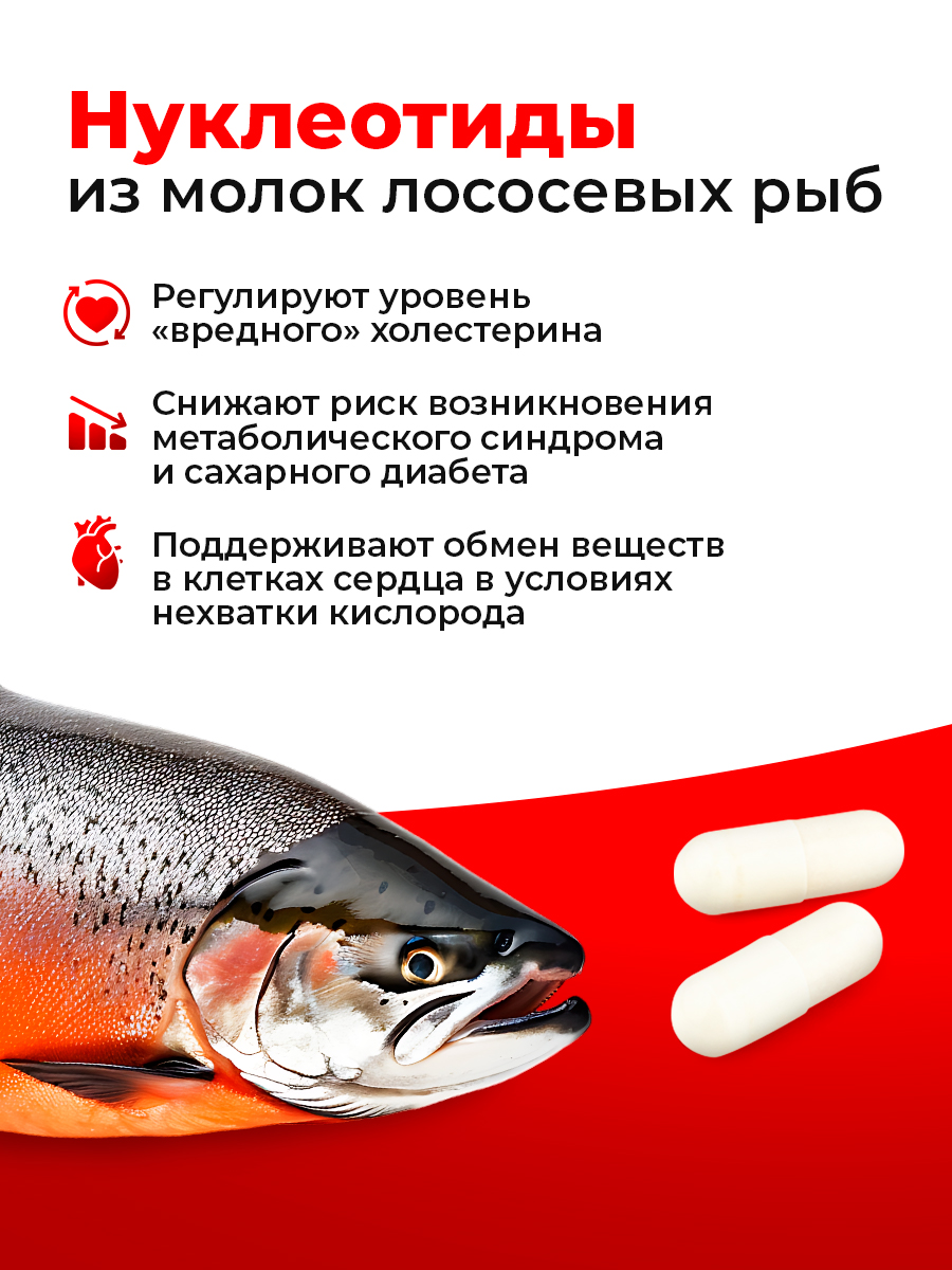 Кардиозащита Доктор Море /натуральный морской комплекс на основе магния пептидов и нуклеиновых кислот/ 30 капсул - фото 8