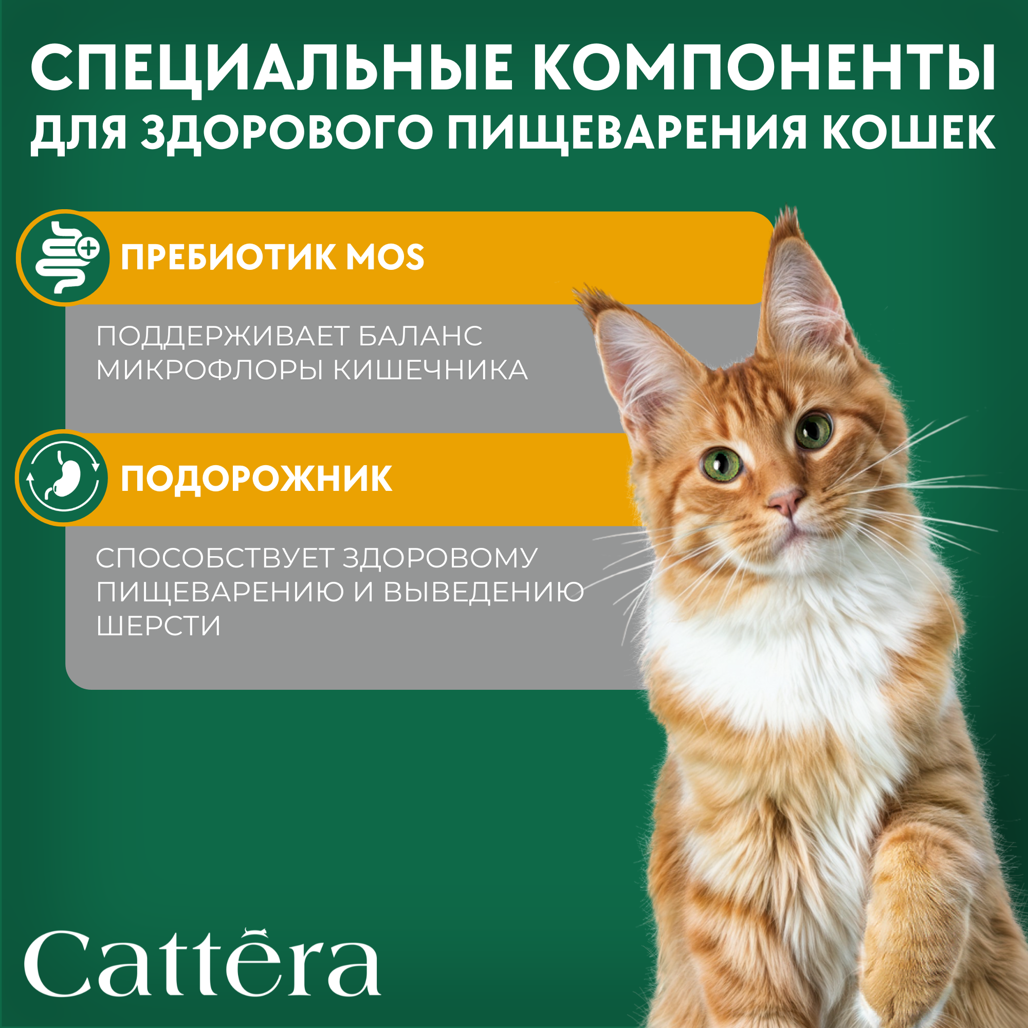 Корм влажный Cattera консервированный полнорационный - фото 4