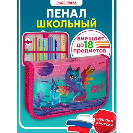 Пенал книжка Prof-Press