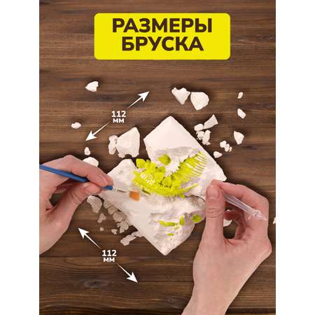 Набор для раскопок ON TIME Стегозавр