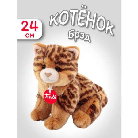 Мягкая игрушка Котёнок Брэд пятнистый 24 см